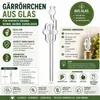 10 x Gärröhrchen aus Glas Gärspund Gährrohr Produktbild-Vorschau 3