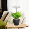 (Biene) Pflanzenlampe LED Pflanzenlicht USB Pflanzenlicht, Produktbild-Vorschau 2