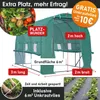 BRAST Gewächshaus Foliengewächshaus mit Stahlfundament | Produktbild-Vorschau 3