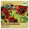 Samenliebe  Sonnenblume Samen | Velvet Queen - dunkelrot - Produktbild-Vorschau 1