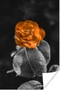 MuchoWow® Poster Blumen - Rosen - Orange - Schwarz - Weiß Produktbild-Vorschau 1