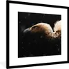 MuchoWow® MuchoWow® Gerahmtes Poster Geier - Weiß - Schwarz Produktbild-Vorschau 1