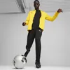 Puma Teamgoal Polyesterjacke Herren - Gelb Produktbild-Vorschau 7