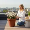 XXL Pflanzkübel terracotta Ø48 cm - Kunststoff Blumen Kübel Produktbild-Vorschau 6