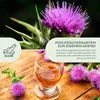 Mariendistel Samen - Heilkräuter Saatgut aus biologischem Produktbild-Vorschau 3