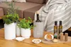Mix & Match Gaumenfreude Teller Linien Produktbild-Vorschau 3