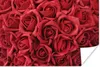 MuchoWow® Poster Rosen - Rosenblütenblätter - Rot 60x40 cm Produktbild-Vorschau 1