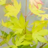 Close-up of Japanese Maple leaves in various shades of yellow and green, with hints of red on some leaf edges. Produktbild-Vorschau