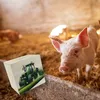 Traktor bei der Feldarbeit Spardose aus Holz Produktbild-Vorschau 6
