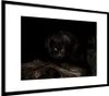MuchoWow® MuchoWow® Gerahmtes Poster Panther - Wald - Augen Produktbild-Vorschau 7