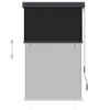 vidaXL Roleta zewnętrzna 100 x 250 cm antracytowa Podgląd zdjęcia produktu 2