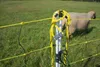 horizont Schafnetz horinetz 105 cm 50 m elektrifizierbares Produktbild-Vorschau 16