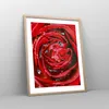 Gerahmtes Poster - Rahmen in heller Eiche - Rose Blume Produktbild-Vorschau 8