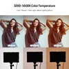 Zestaw oświetlenia wideo Andoer z 2 lampami LED z USB, Podgląd zdjęcia produktu 9