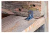 KRAFTMANN 80943 Stuhlwinkel-Satz 25 x 25 x 15 mm, 12-tlg. Produktbild-Vorschau 2
