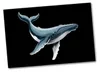 Buckelwal Illustration Souvenir Magnet für Tierliebhaber Produktbild-Vorschau 1