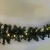 A close-up shot of a green garland with small warm white lights. Produktbild-Vorschau