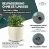 XXL Pflanzkübel „Millennium“ Ø59xH49 cm - 80L - Creme Weiß Produktbild-Vorschau 6