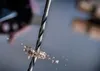 A close-up of a drill bit with wood shavings flying off. Voir les images du produit