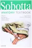 Sobotta Anatomy Textbook Produktbild-Vorschau 3