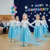 Kostým Elsa, kostýmní párty, karneval, princezna, šaty, Náhled obrázku produktu 19
