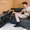 Hunderampe - Hundetreppe für kleine Hunde und große Hunde - Produktbild-Vorschau 9