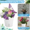A collage showing a bouquet of flowers in a white pot, a wilted plant in a pot, and a healthy rose plant in a white pot. Produktbild-Vorschau