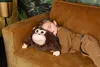 NOXXIEZ - Peluches - Singe (avec fonction moufle) Peluche Voir les images du produit 6