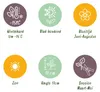 GreenboutiQ - Bodendecker - Winterhart - Alpinemix - 8 Produktbild-Vorschau 6