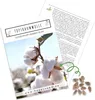 Baumwollsamen (Gossypium Herbaceum) mit hoher Keimrate - Produktbild-Vorschau 1