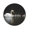 MuchoWow® Mauspad Mousepad Vögel - Schwan - Küken 50x50 cm Produktbild-Vorschau 1