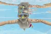 BESTWAY Maschera da nuoto per animali B22064 Anteprima dell’immagine prodotto 26