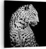 Bild auf Leinwand - Leinwandbild - Einteilig - Leopard Produktbild-Vorschau 1