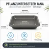 Pflanztopfuntersetzer Jana Anthrazit 41 x 41 cm - Produktbild-Vorschau 3