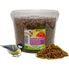 UGF Soldatenfliegenlarven 430g (3L), BSFL Vogelhauptfutter Produktbild-Vorschau 10