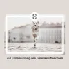 CaniMove motion maxi (ab 10kg) Produktbild-Vorschau 2