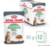 Royal Canin Digest Sensitive Care, Dorosły, 85 g Podgląd zdjęcia produktu 12