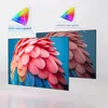 Two screens displaying images of feathers, one with wider color gamut than the other, with diagrams illustrating color gamut. Produktbild-Vorschau