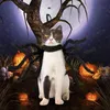 Haustierkostüm Spinne Halloween Haustier Cosplay Hunde Produktbild-Vorschau 3