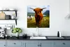 MuchoWow® Poster Schottischer Highlander - Leicht - Schaf Produktbild-Vorschau 3