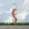 Speed Arc de roses Colonne de roses en métal Treillis Voir les images du produit 9