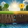 Mélange de semences de gazon résistant à la sécheresse à Voir les images du produit 12