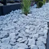 Zierkies Silver 2–4 cm 5 kg – Grauer Naturstein für Garten Produktbild-Vorschau 2