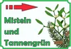 Misteln und Tannengrün Verkaufsschild mit Pfeil rechts Produktbild-Vorschau 1