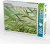 Calvendo Grüner Bambus Nr. 2 1000 Teile Puzzle hoch Produktbild-Vorschau 1