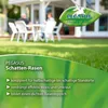 Pegasus Rasensamen Schattenrasen 2 kg Produktbild-Vorschau 3