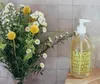 Fresh Verbena Compagnie De Provence Marseille Liquid Soap Produktbild-Vorschau 4