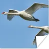 MuchoWow® Poster Schwan - Vogel - Himmel - Blau 100x100 cm Produktbild-Vorschau 1