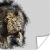 MuchoWow® Poster Löwe - Farbe - Schwarz - Weiß 100x100 cm - Produktbild-Vorschau 1