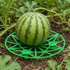 KADAX Kürbisstütze Ø 20 cm im 12er Set, Melonenstütze aus Produktbild-Vorschau 4